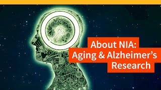 The National Institute on Aging at NIH