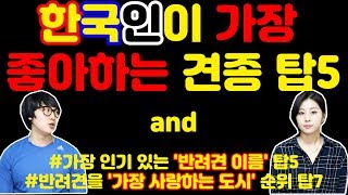 한국사람들이 가장 좋아하는 견종 탑5 # 반려견을 키우는 분들 공감가시나요?!