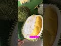 Durian 101 serupa aiskrimm 😘😘