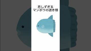 マンボウの悲しずぎる逝き様...#マンボウ#ざんねんないきもの#最弱