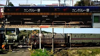 JR貨物 EH500 コンテナ貨物列車(Colorful Container)