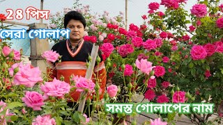 মেছেদা তুহিন দার কি  করে শয়ে শয়ে 🌹 গোলাপ কি করে সম্ভব (গুরুত্বপূর্ণ টিপস)