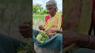 💥 கிராமத்து வேலையும் எங்க சாப்பாடும் இன்னிக்கு இதுதான்🤗❤️ #short #shortsvideo #village #tamil