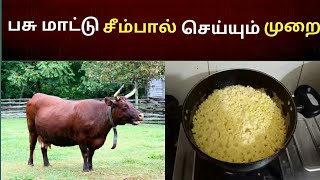 பசுமாட்டு சீம்பால் செய்முறை மற்றும்  நன்மைகள் / கடும்பு || Cow Colostrum milk tamil \u0026 Health Benefit