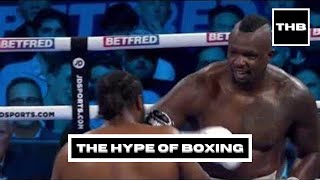 Dylan Whyte vs Jermaine Franklin Heavyweight Boxing Fights[HIGHLIGHTS]