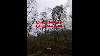 چشمه و کوهسار 👏👏👏شعر: ملک الشعرای بهار دکلمه: ماهرخ افراafraurmia@