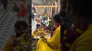 #vlog #live #song #vrindavan #bankebihari #youtubeshorts #shortvideo #trending