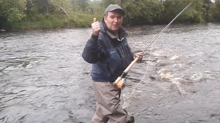 Salmon Takes On The Fly Rod