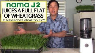 The Nama J2 CAN Juice a FULL FLAT of Wheatgrass Just Do This