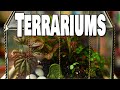 Create Your Own Terrarium - Two Styles