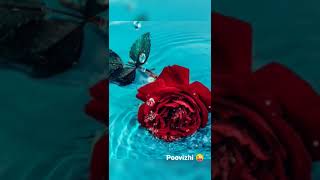 நூறாண்டுக்கு ஒருமுறை 🌹🌹🌹🌹🌹🌹🌹 #please #pleasesubscribe