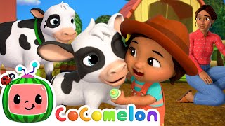 Meet the Baby Cow! 🐄 | Nina Time | 🍉 CoComelon - JJ's Baby Songs 🎶