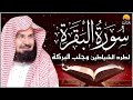 سورة البقرة كاملة عبد الرحمن السديس لطرد الشياطين من منزلك وجلب البركه sourah baqara al sudais