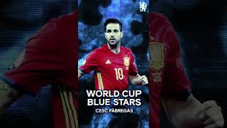 'A sumptuous move!' | Cesc Fabregas | World Cup Blue Stars 🔵 #worldcup2022 #shorts