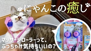 猫用マッサージローラー「にゃんこの癒し」って本当に気持ちいいの？