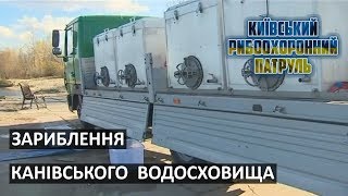 Київський рибоохоронний патруль, зариблення Канівського вдсх, ранок з Інтером