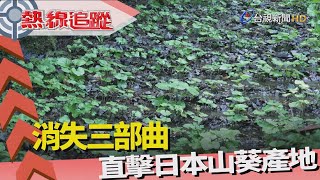 熱線追蹤-全球暖化 「綠金」山葵危機