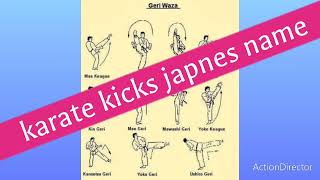 karate  kicks japnes name