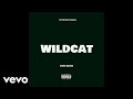 Chris Brown - Wildcat (Audio)