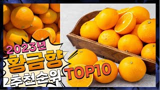 황금향 나에게 필요한! 구경하세요 추천 TOP10