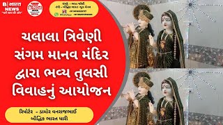 ચલાલા ત્રિવેણી સંગમ માનવ મંદિર દ્વારા ભવ્ય તુલસી વિવાહનું આયોજન