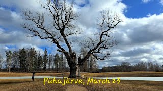 Looking for spring 🚙🤔😊 Otepää, Pühajärve ( lake) South - Estonia 😊❄ March 23