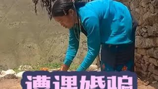 女儿遇人不淑遭到骗婚，德才嫂失去所有力气和手段。纪录片解说 尼泊尔