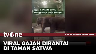 Viral Gajah Dirantai Kakinya, Ini Penjelasan Pawang di Wonogiri | AKIS tvOne