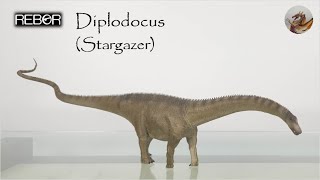 242: Rebor Diplodocus (Stargazer 2023) Review