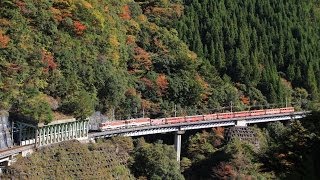 アプト式機関車の重連運転 紅葉が大井川鉄道井川線アプトライン