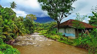 Wow..!Ngintip kehidupan Kampung pedalaman rawabadak cianjur selatan bikin tegang..!! part2