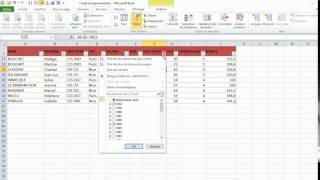 Effacer un filtre (Excel 2010)