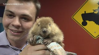 Critter Camp lets children safely, educationally interact with wildlife
