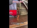 Malika Andrews is on TikTok!