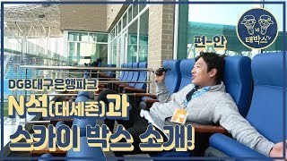 DGB대구은행파크의 대세존(N석)과 스카이박스 소개! - 전박시EP4