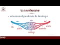 ជីវវិទ្យាថ្នាក់ទី៨ ជំពូក៤ដង្ហើមនិងដំណឹកនាំ មេរៀនទី៤ ប្រព័ន្ធដំណឹកនាំ ត