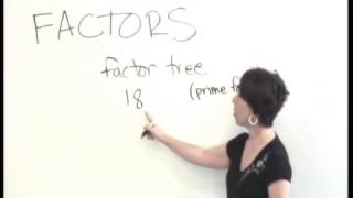 DMA 020 Prime Factors