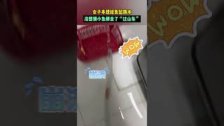 女子本想給魚缸換水，沒想到小魚卻坐了“過山車”