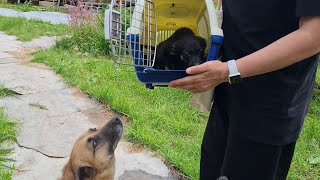 Про появление в Избушке маленького чуда и знакомство с её обитателями
