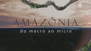 AMAZÔNIA DO MACRO AO MICRO | FORMAÇÃO GEOLÓGICA DA AMAZÔNIA - PARTE 1