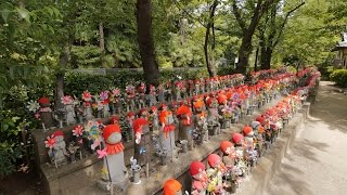 【4K】増上寺と芝桜公園のビデオ散歩