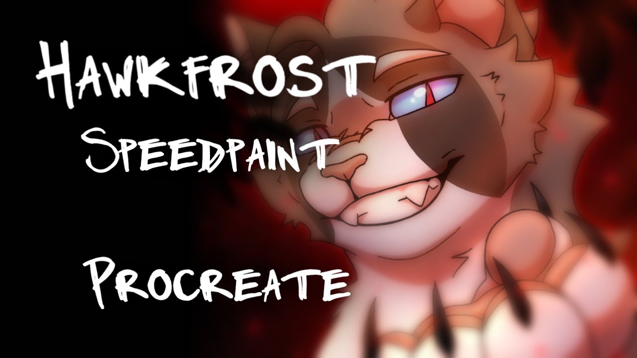 Warrior Cats Hawkfrost Speedpaint Youtube