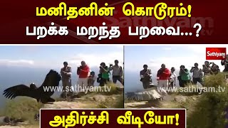 மனிதனின் கொடூரம்! - பறக்க மறந்த பறவை -  அதிர்ச்சி வீடியோ | Bird | Program Special | SathiyamTv