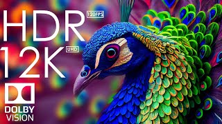 12K HDR 120fps Dolby Vision with Calming Music (Animal Colorful Life)