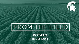 Montcalm Research Center Potato Field Day: Zsofia Szendrei