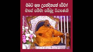 පටිසෝතගාමී |ශුභ උපන් දිනයක් වේවා🙏💙|Samanthabhadra Buddha|eternal love