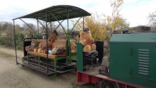 Teddybärenfahrtag im Frankfurter Feldbahnmuseum 2020