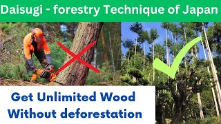 Daisugi - A Technique to get Unlimited Wood 🪵without deforestation