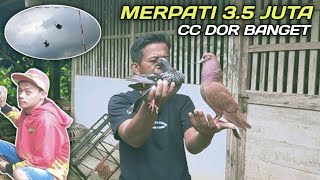 PREDIKSI JUARA‼️EKSPERIMEN MERPATI KOLONG MEJA UNTUK TOMPRANGAN JAKARTA