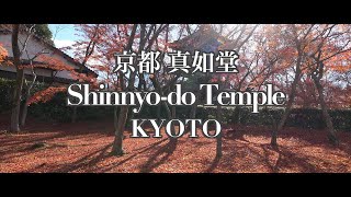 Falling autumn leaves at Shinnyodo Temple in Kyoto 2024